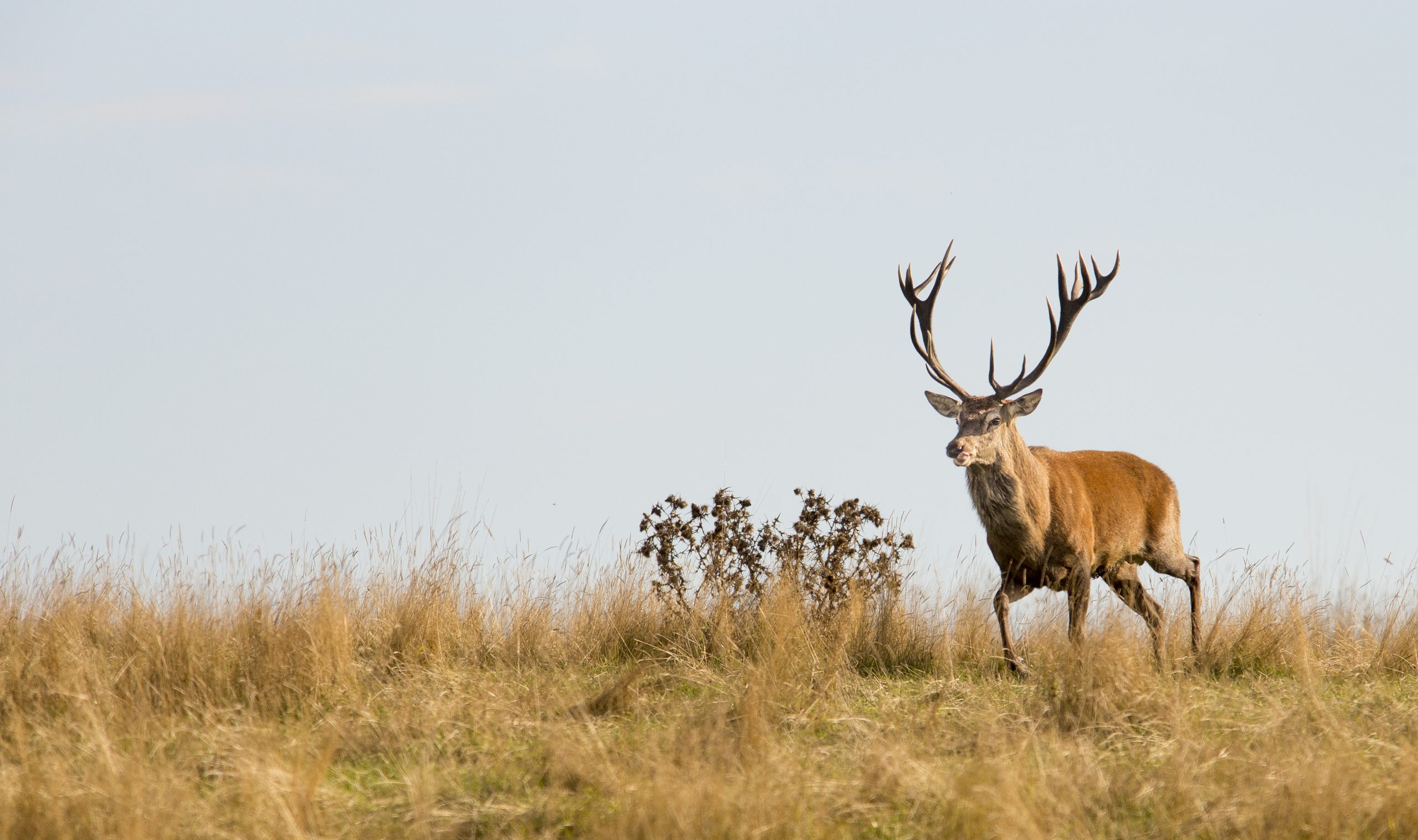 Photography Tim Hobbs Photography Tim Hobbs